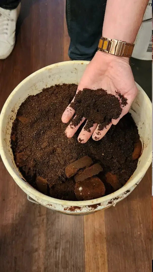 Behind the Scenes: How We Turn Coffee Grounds Into Soap - 2nd Ground