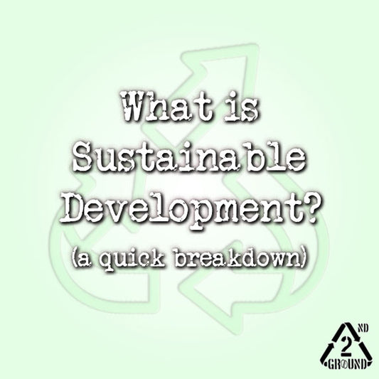 Sustainable Development: A Quick Breakdown