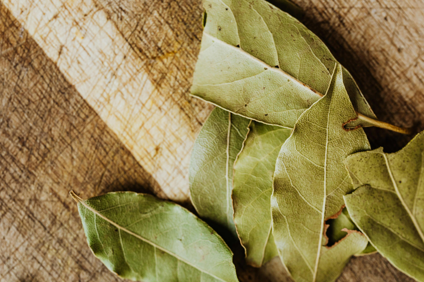 bay leaf skincare benefits — 2nd Ground Cedar and Bay Leaf soap bar