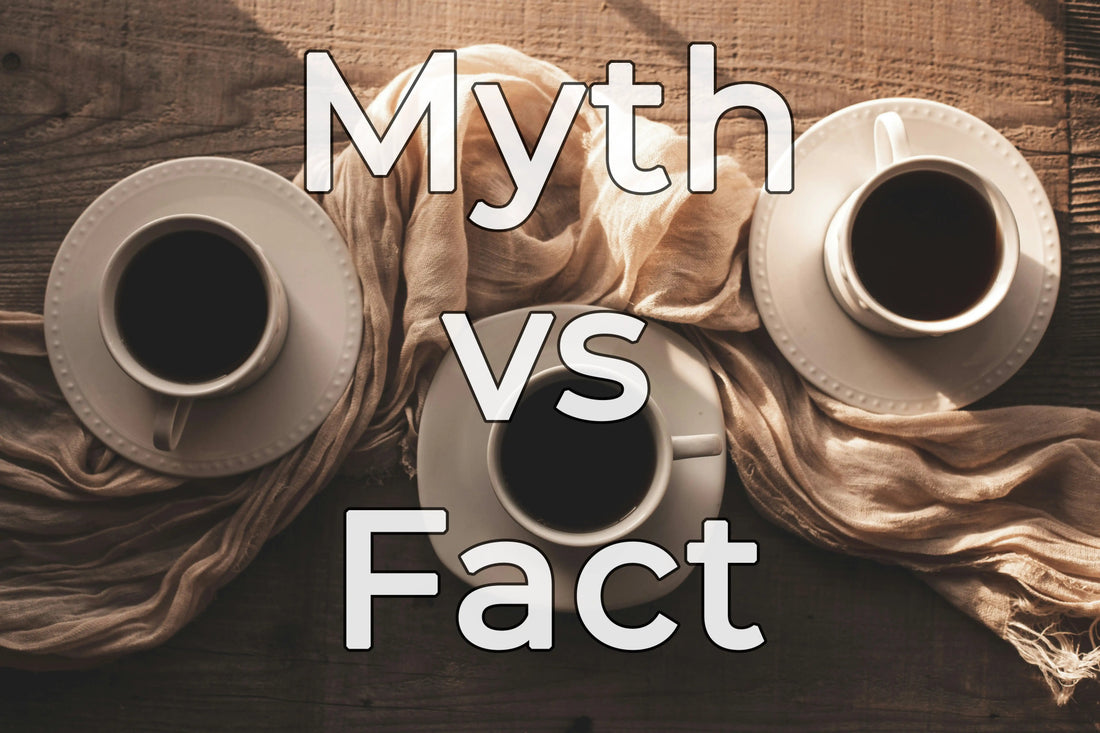 The Truth About Coffee & Your Skin: Myth vs. Fact - 2nd Ground