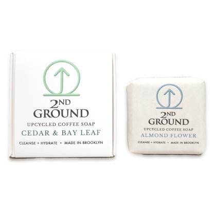 Cedar BOGO Set (Buy Full Size, Get Almond Guest Bar Free)